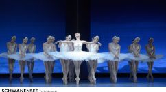 Viktorina Kapitonova Schwanensee Heinz Spoerli Zurich Opernhaus Ballet